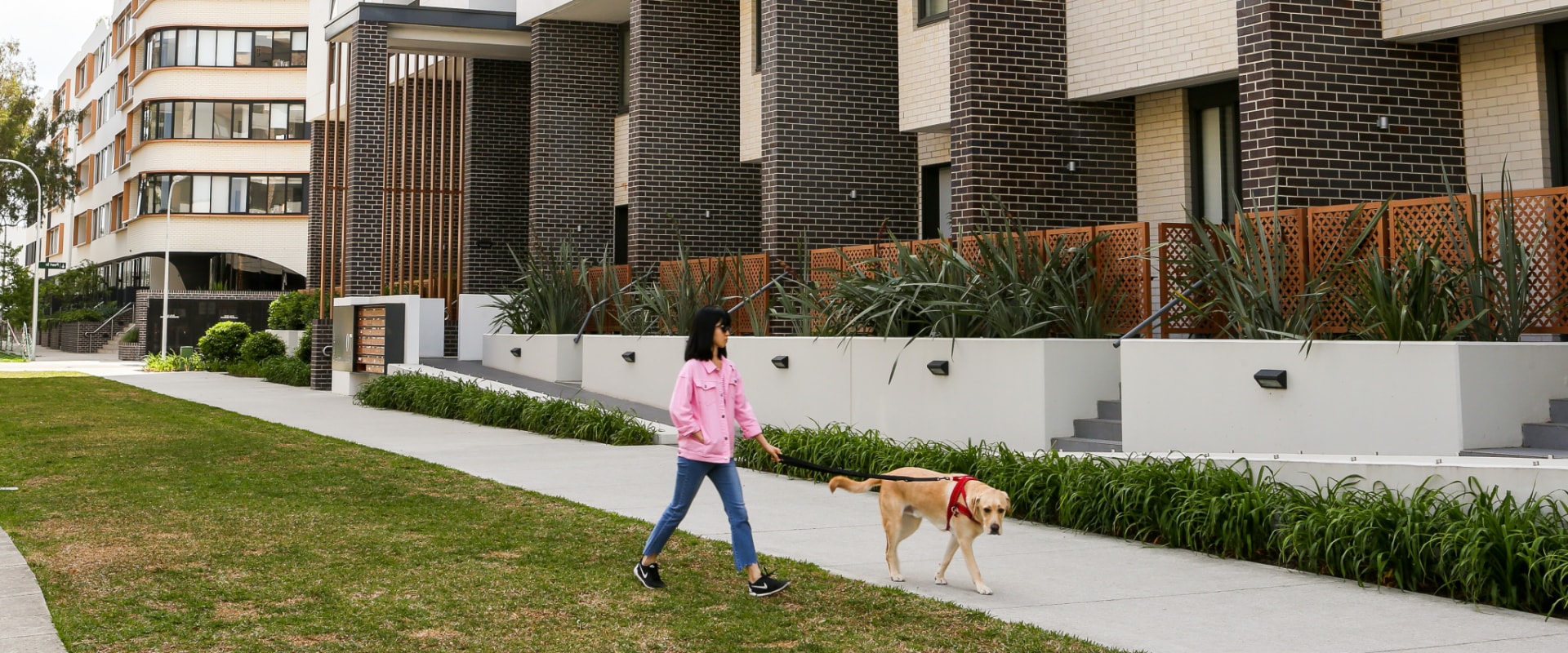 A Comprehensive Guide to Apartment Buildings in Sydney